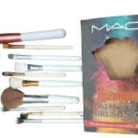 Mac 12in1 Brushes set